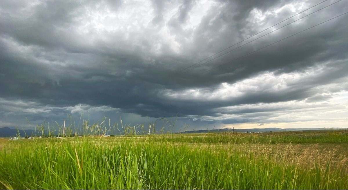 tormenta-canva