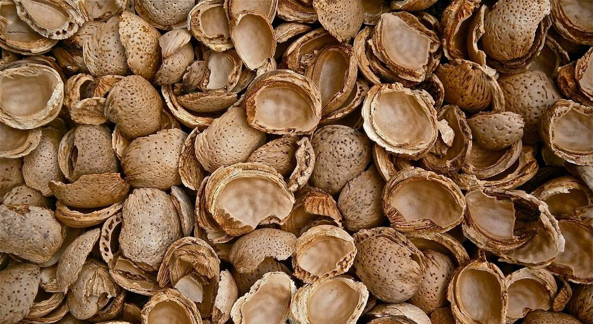 almendras