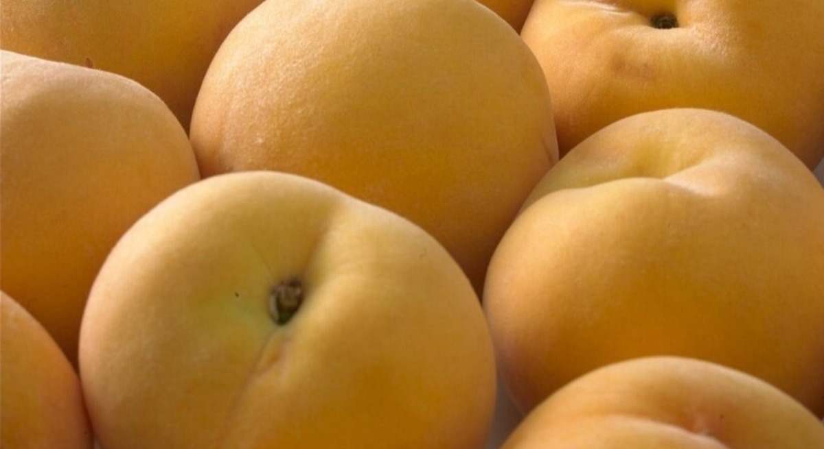 fruta aragon