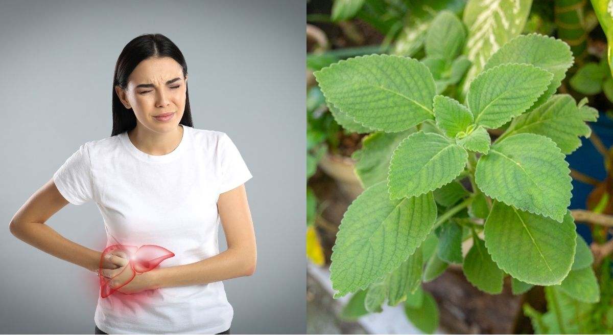 Mujer con dolor en el costado y planta boldo