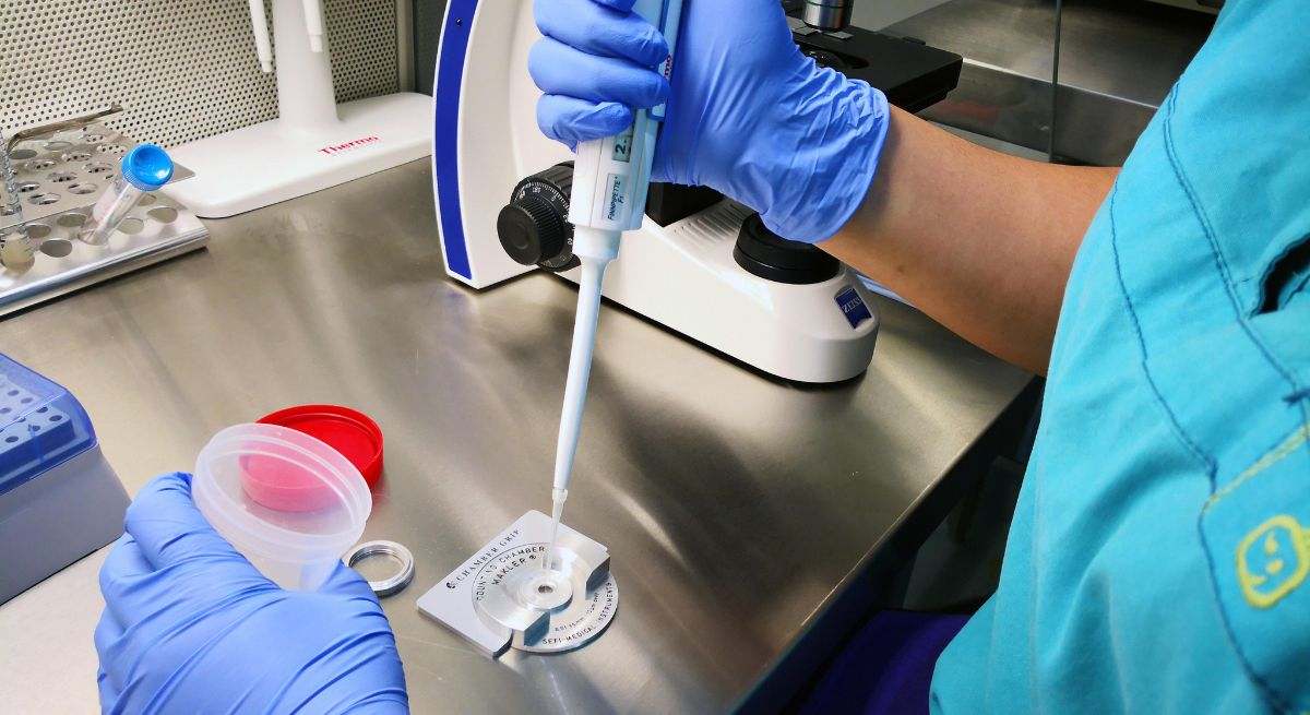 Laboratorio