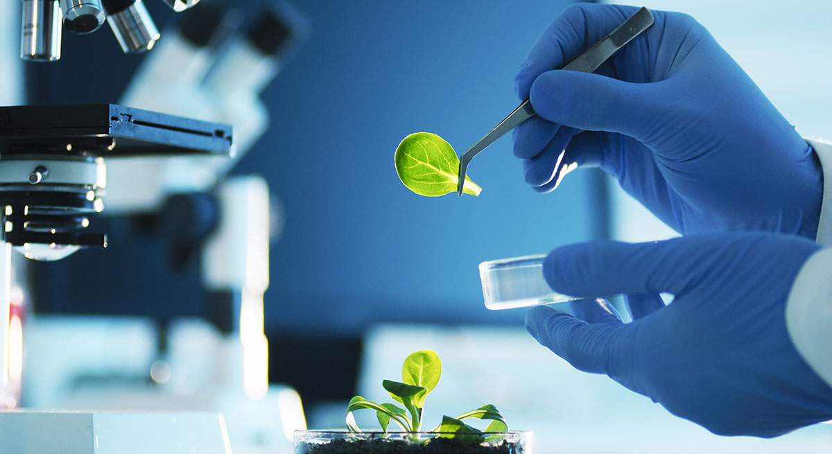 biotech1200x655.jpg