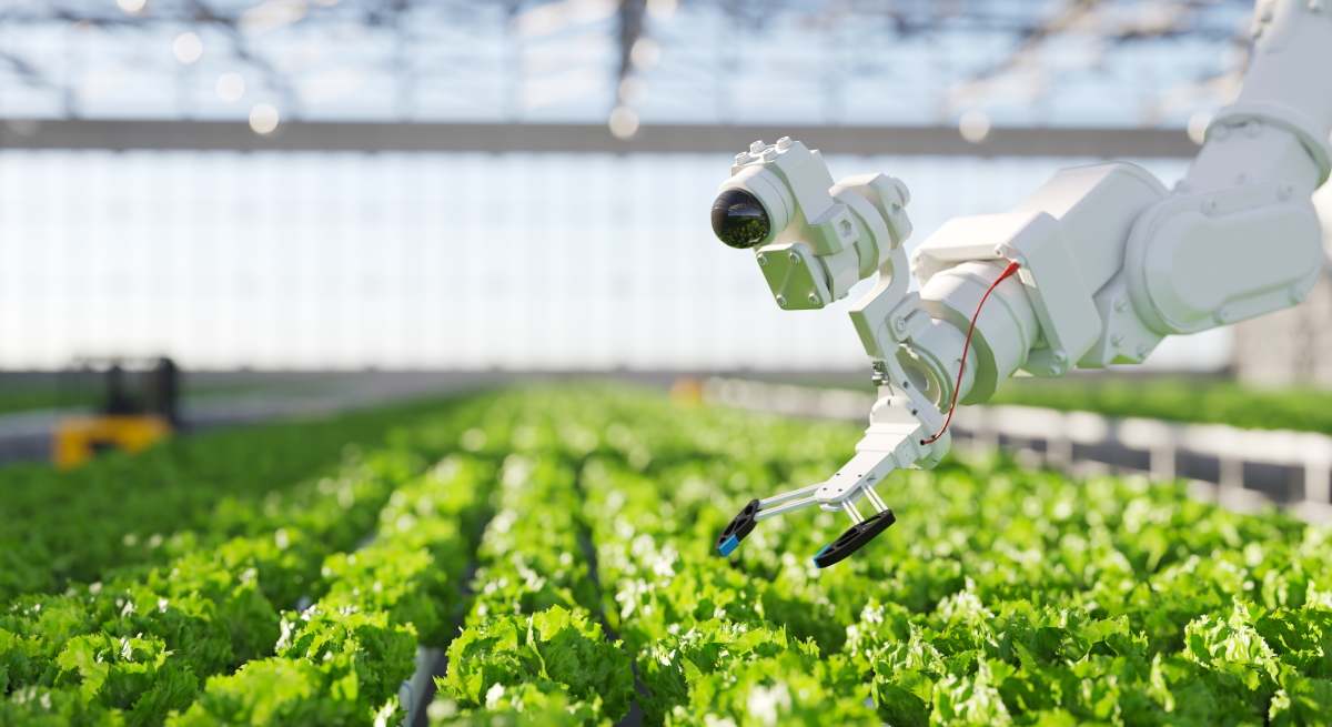 ia-cultivo-istock.jpg
