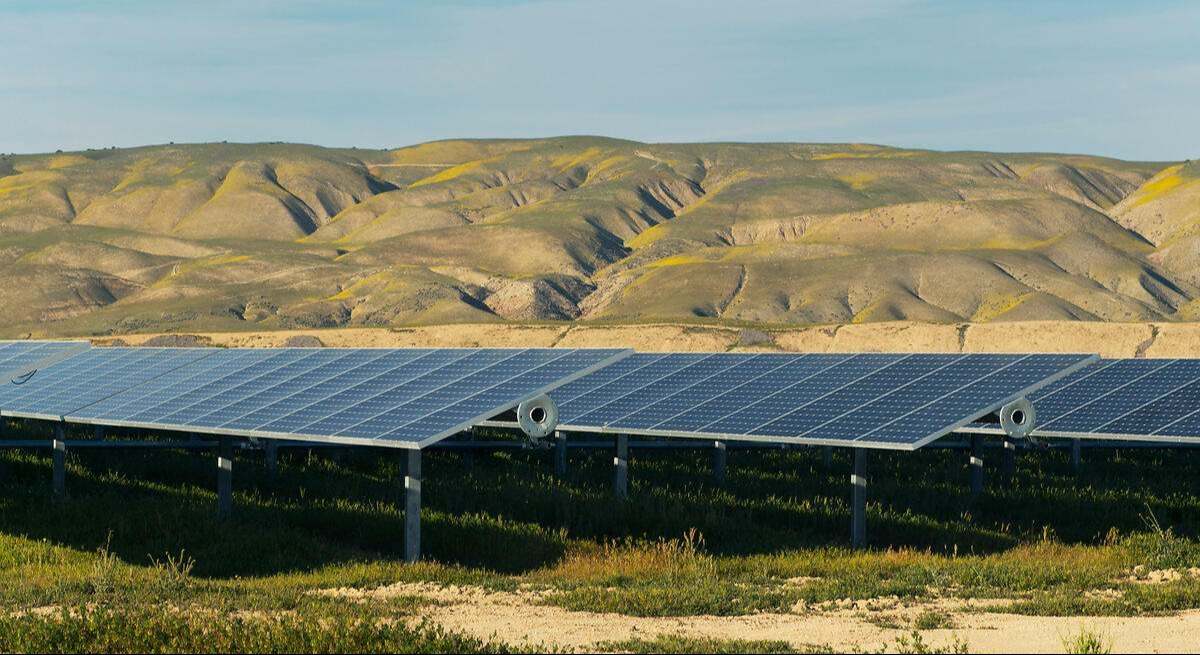 Una planta fotovoltaica.