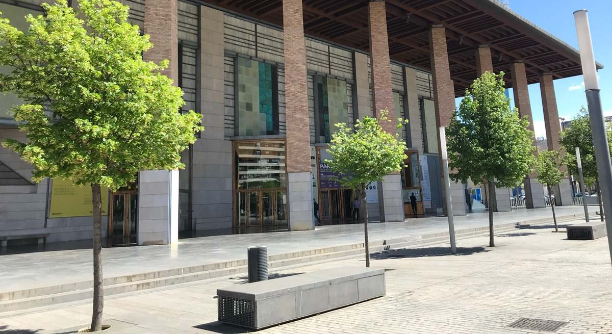 arboles zaragoza