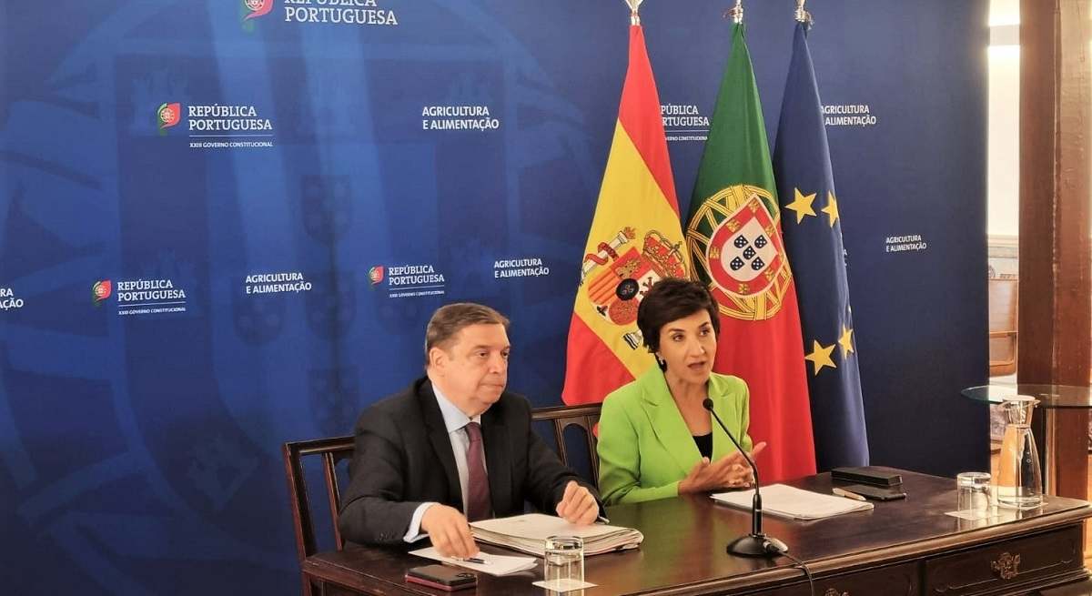 lplanasymariadoceuantunes4_tcm30-652783.jpeg
