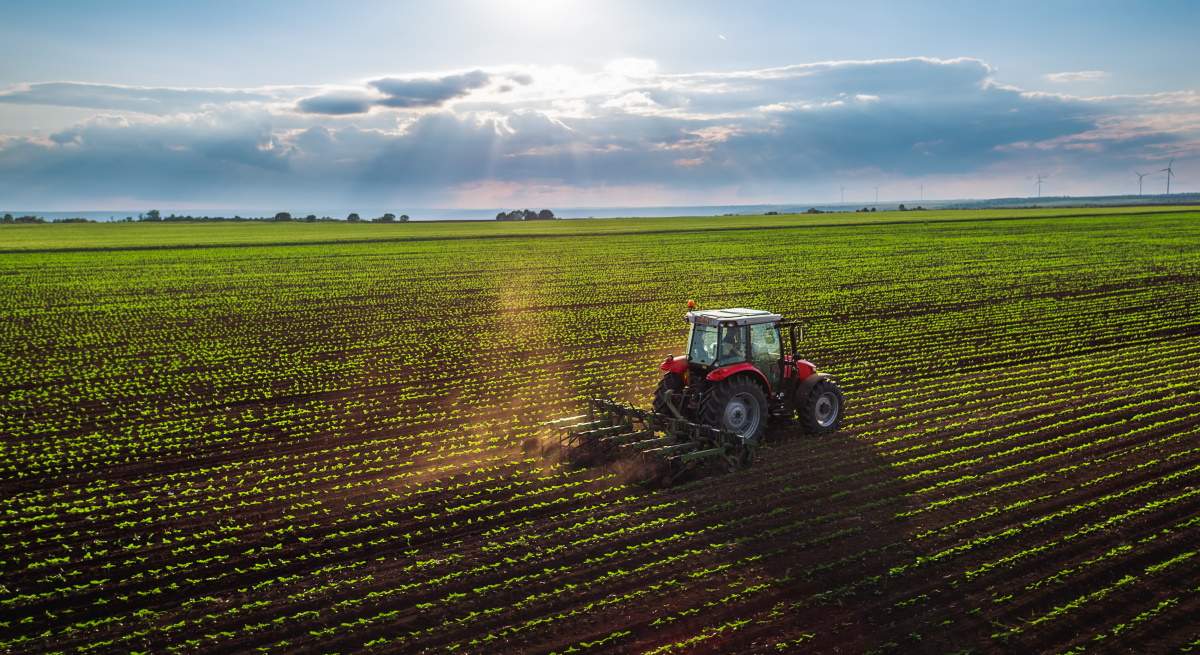 Agricola