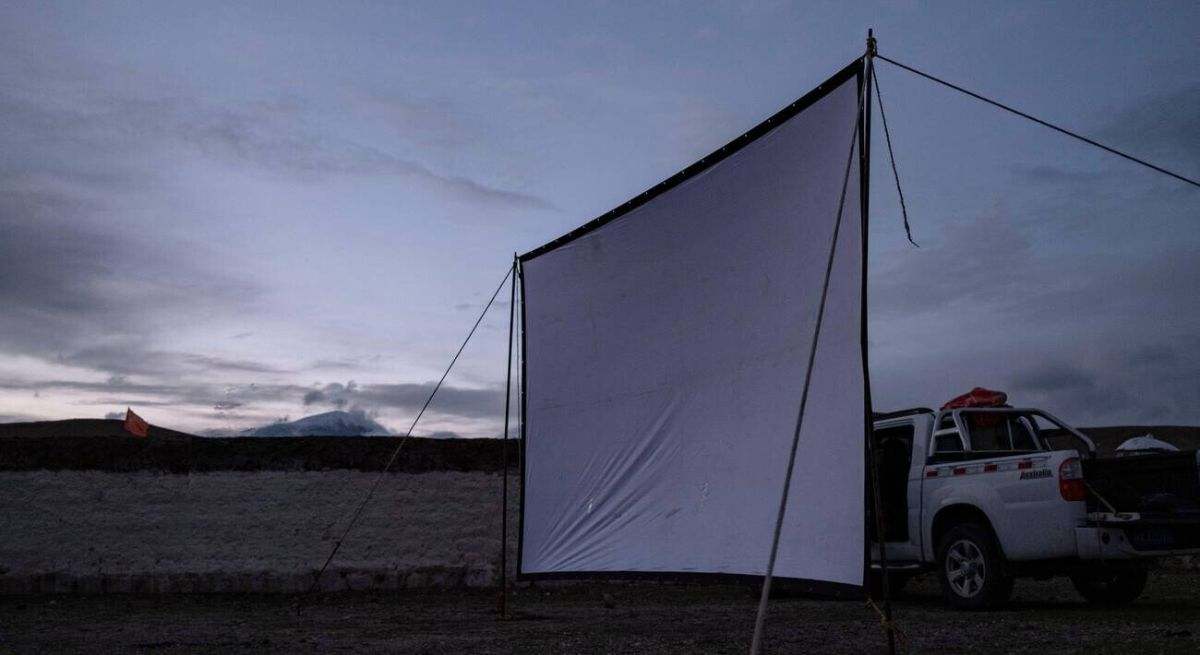 cine-naturaleza.jpg
