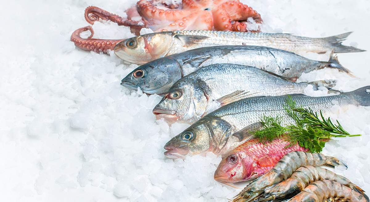 Pescado