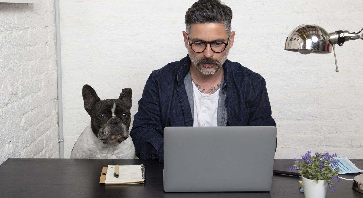 perro-teletrabajo-venta-dreamstime.jpg