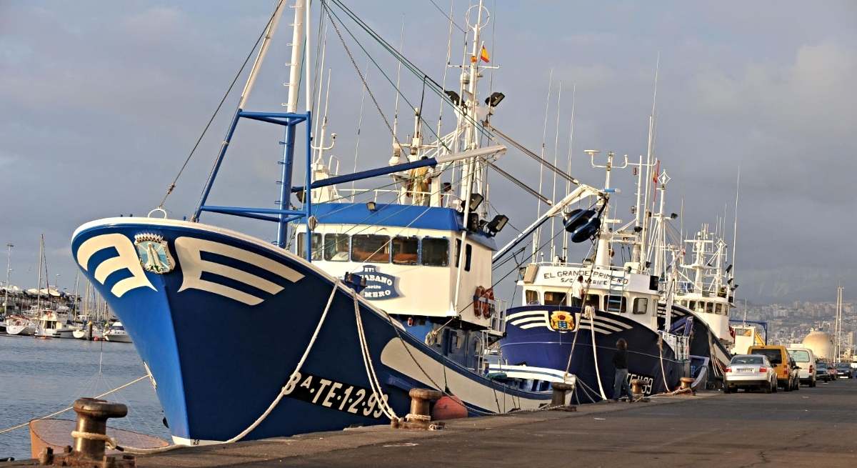 Barcos pesqueros amarrados