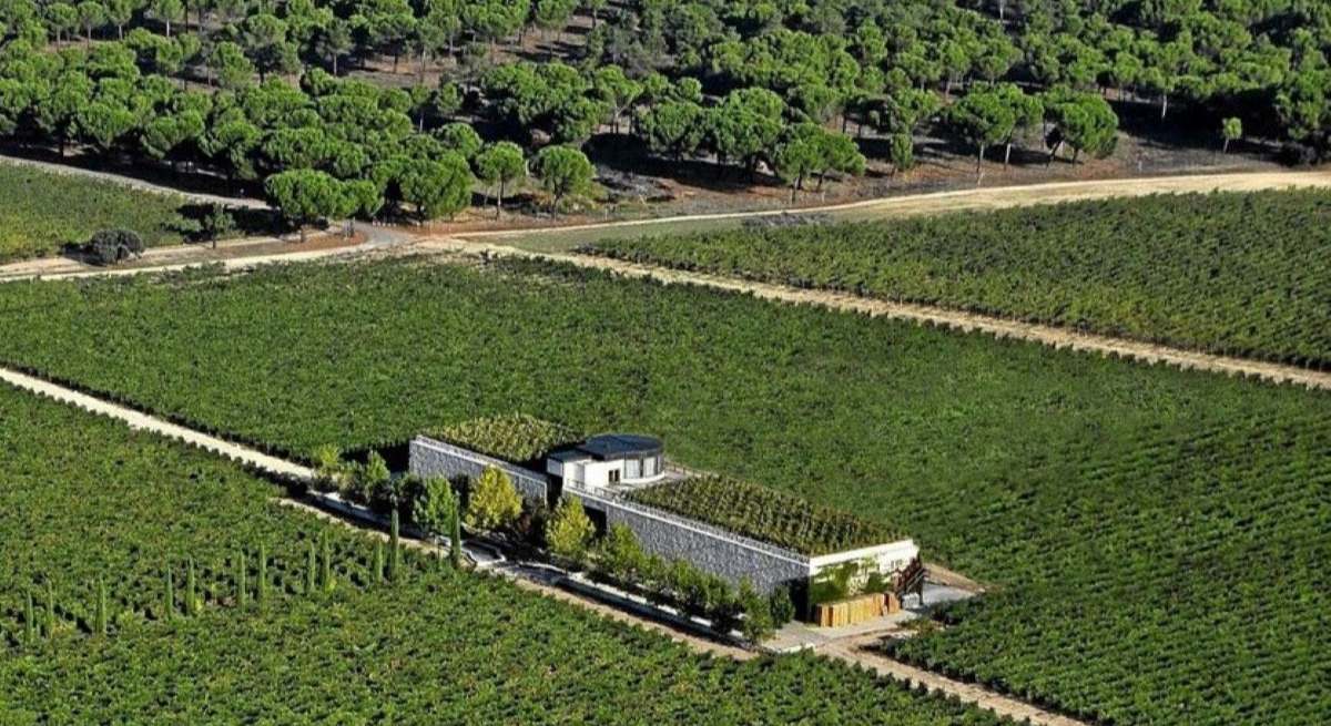 Bodega en Ribera del Duero