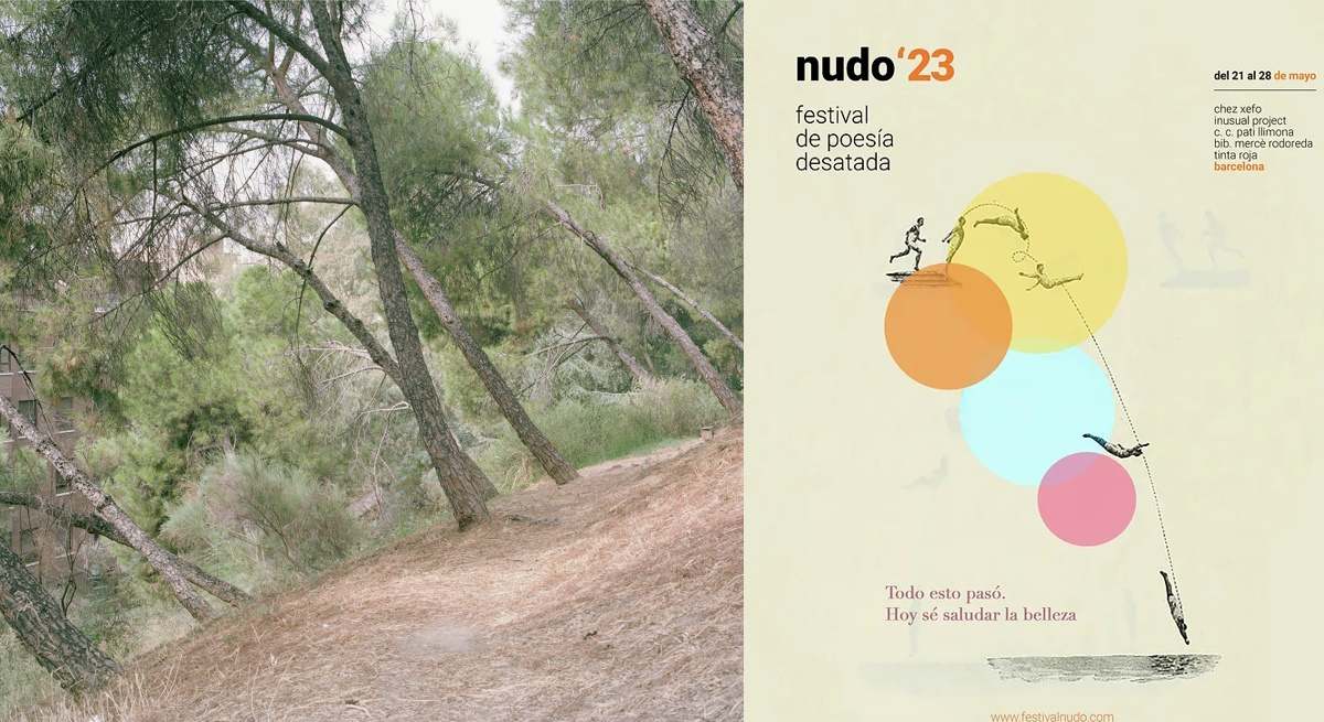 bleda-rosa-ico-festival-nudo-1200.jpg