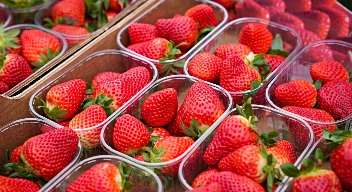 Fresas de Huelva