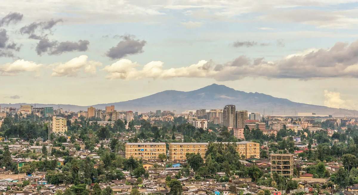 224766).jpg