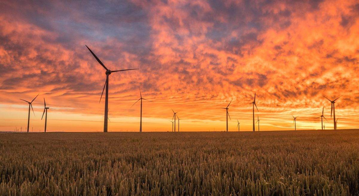 windmills-gb4f8dd358_1280-1.jpg