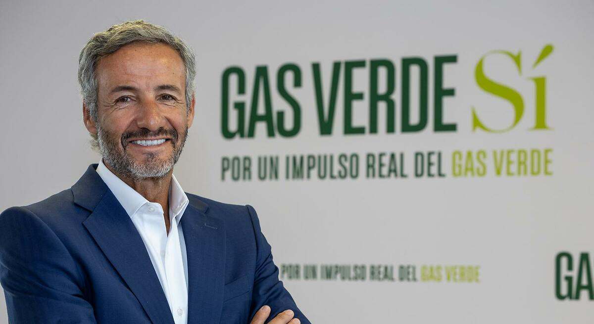 Alejandro Lafarga, consejero delegado de Madrileña Red de Gas. / eE