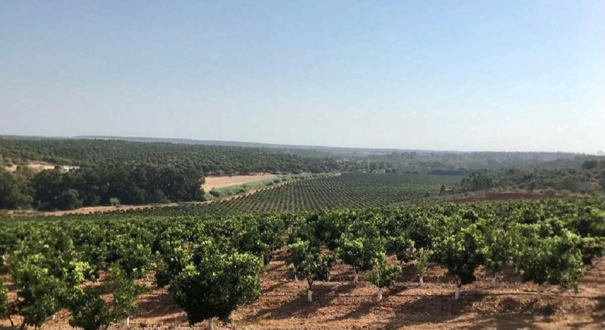 Tierra de barros
