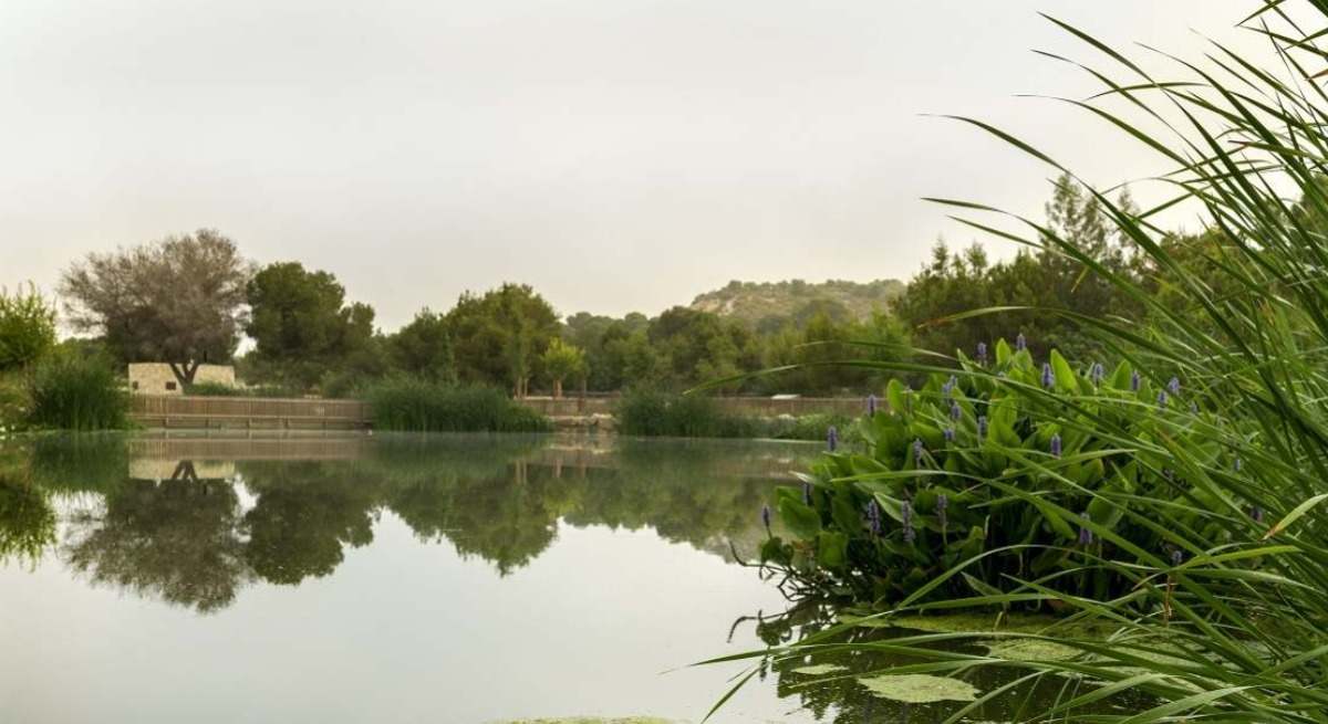 Parque Recorral