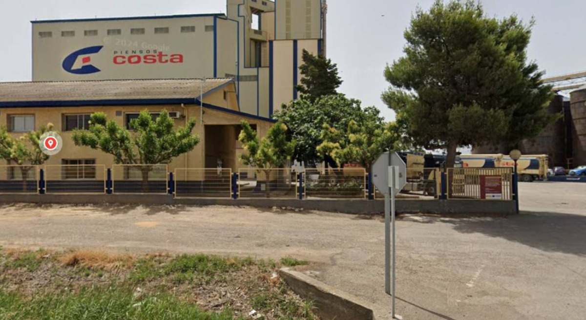 piensos costa
