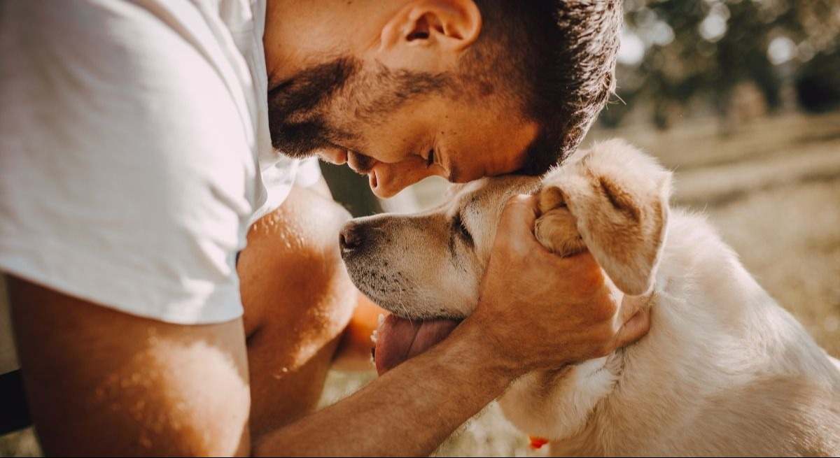 perro-canva