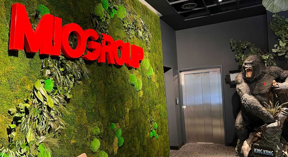 MIOGROUP.jpg