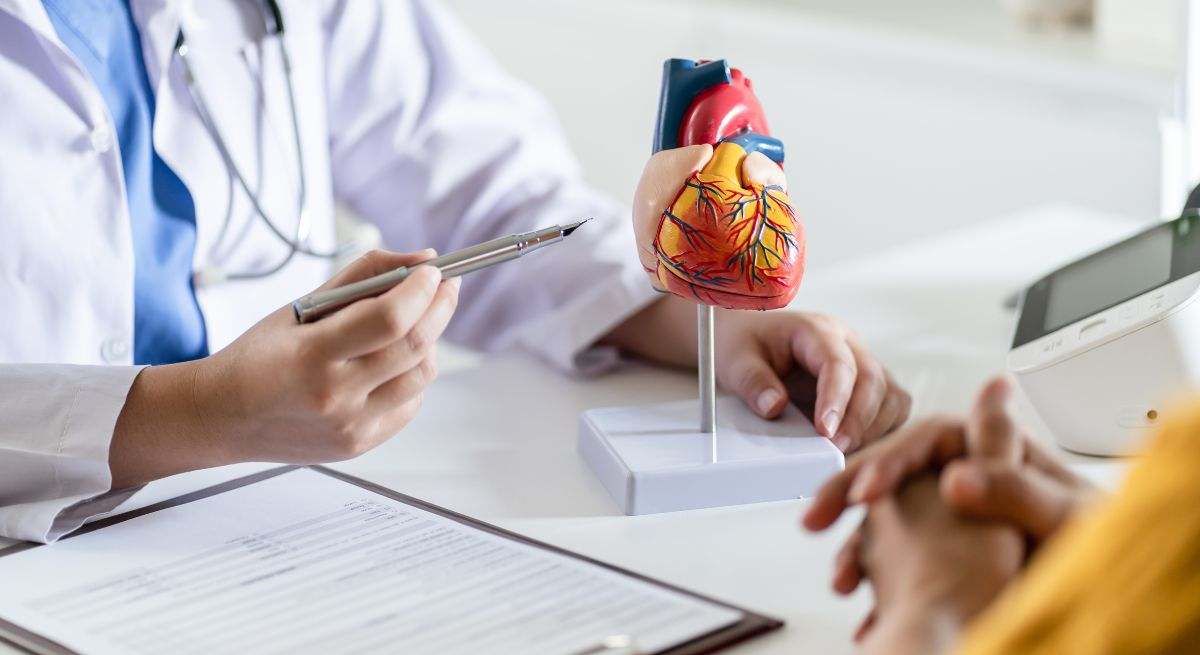 La cardiología es la parte de la medicina que se ocupa del aparato circulatorio