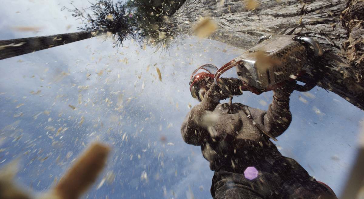 Motosierrista_Trabajo_Bosque_Getty.jpg