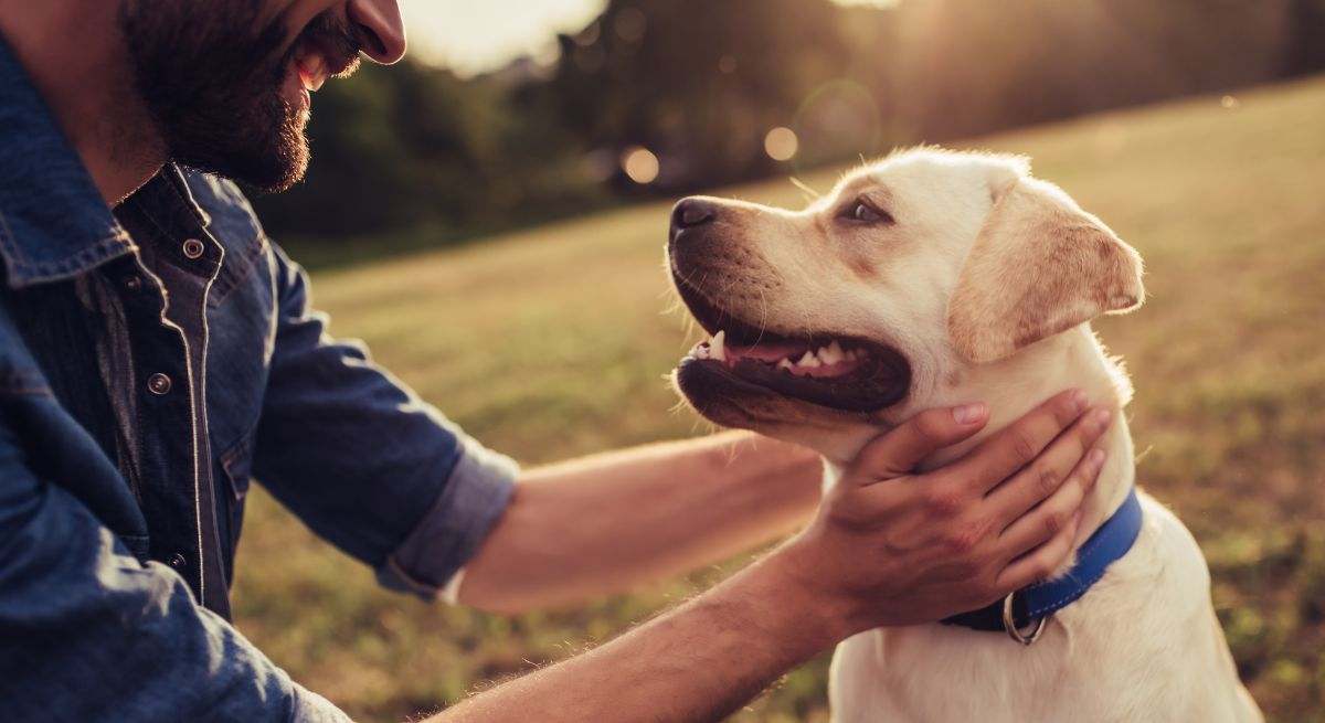 Un hombre acaricia a un perro