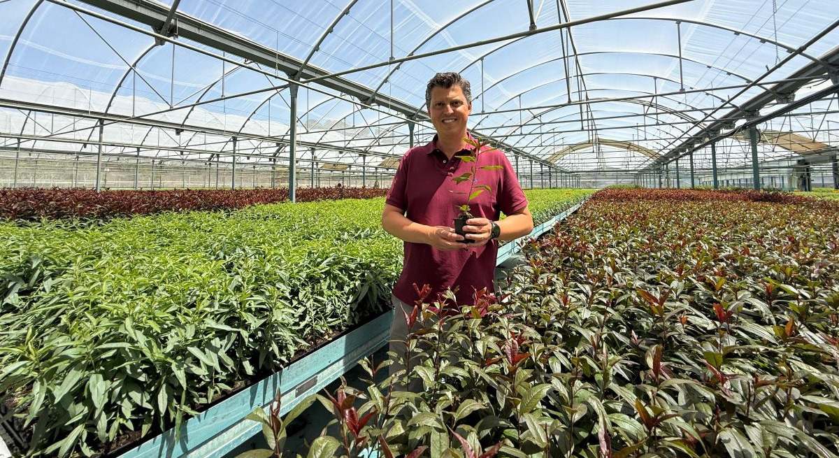 Patricio Villalba, director de la plataforma Agribusiness de Agromillora