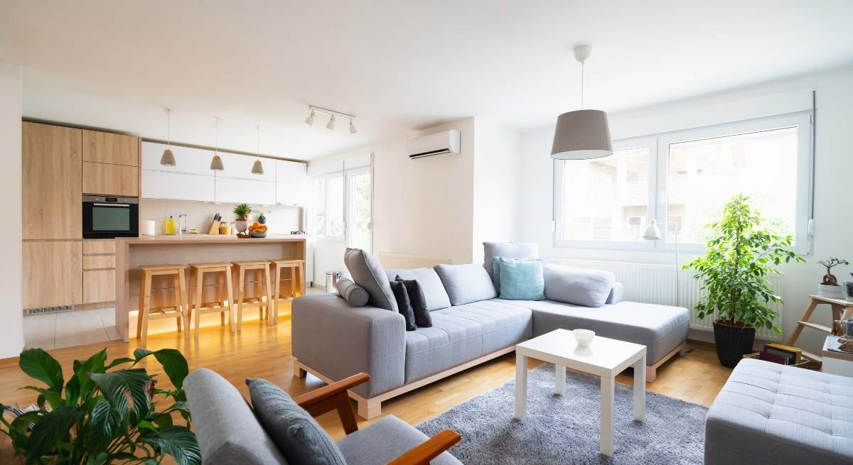 casa-canva