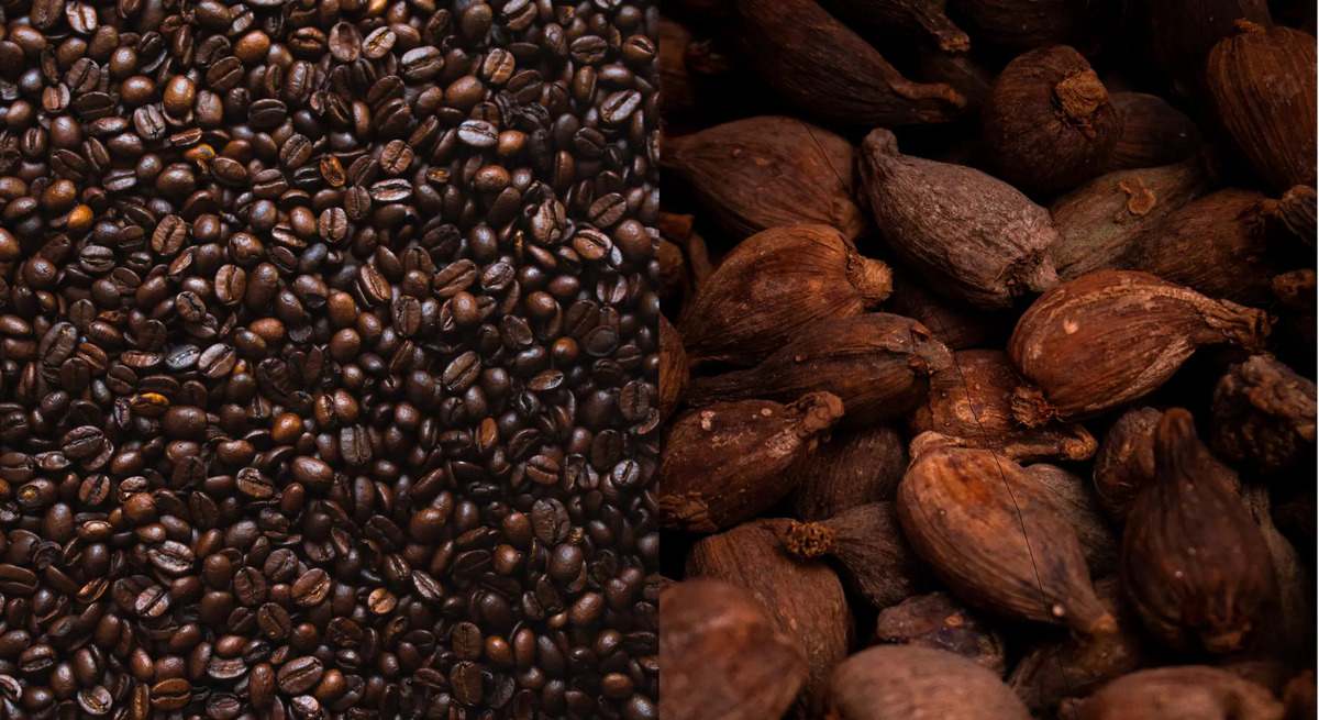 cafe-y-cacao1).jpg
