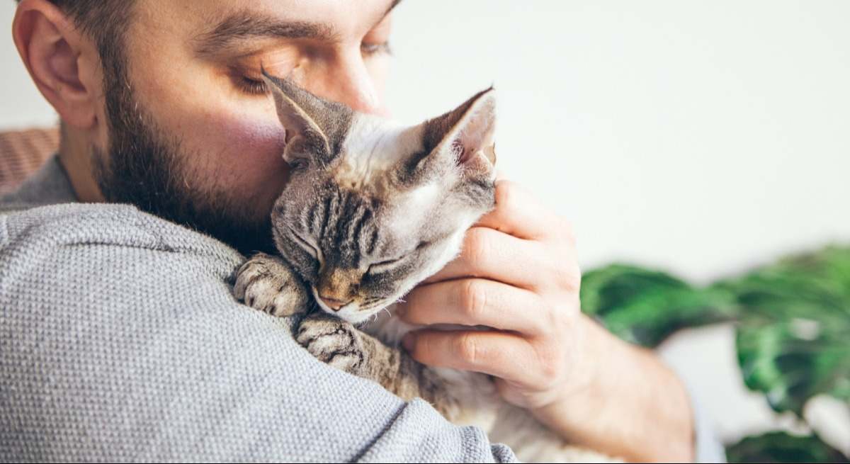 gato-hombre