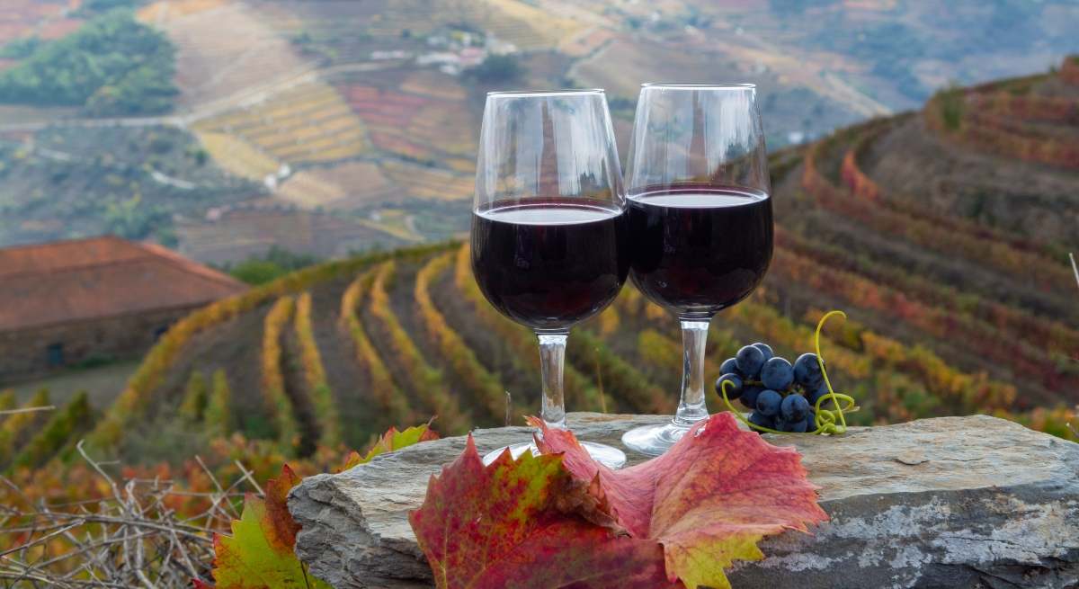 vino.jpg