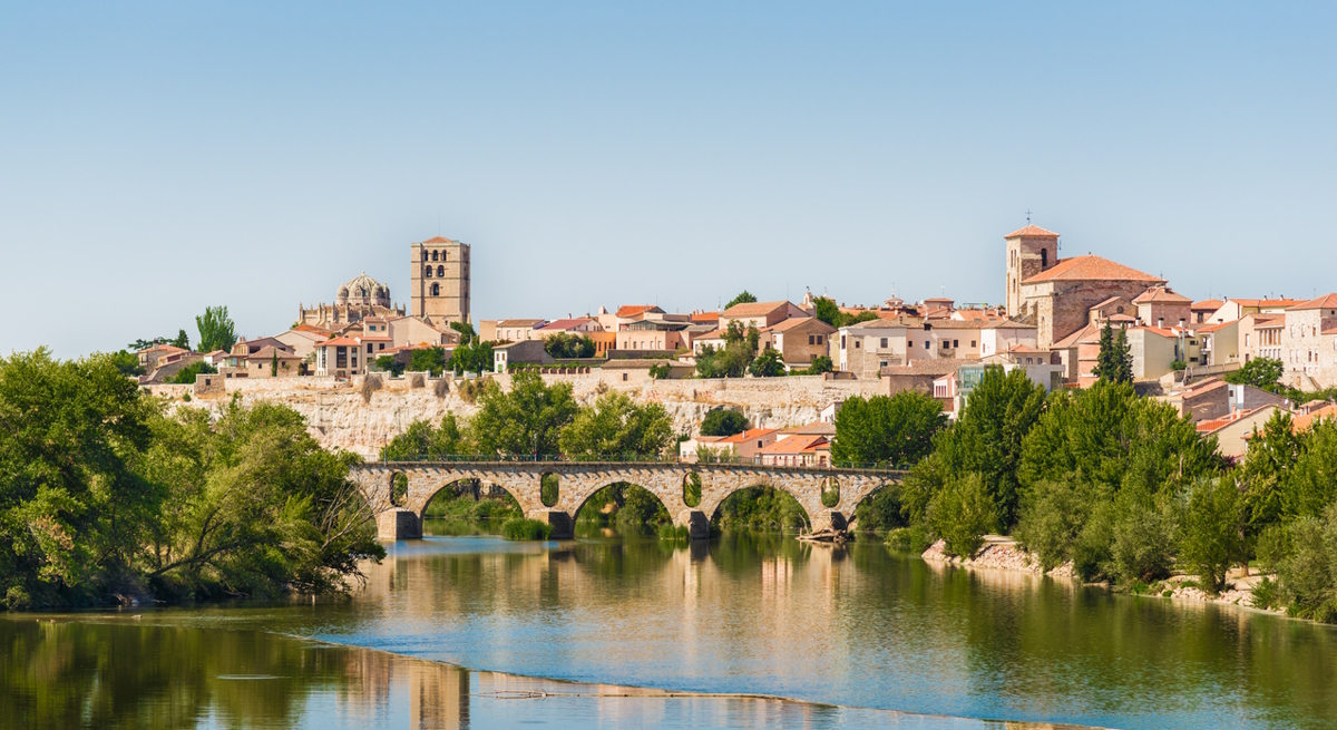 zamora-istock.jpg