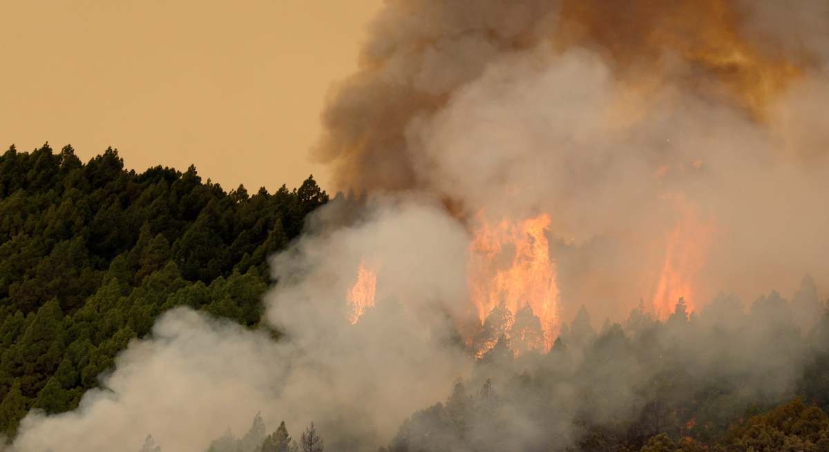 incendio-tenerife-reuters.jpg