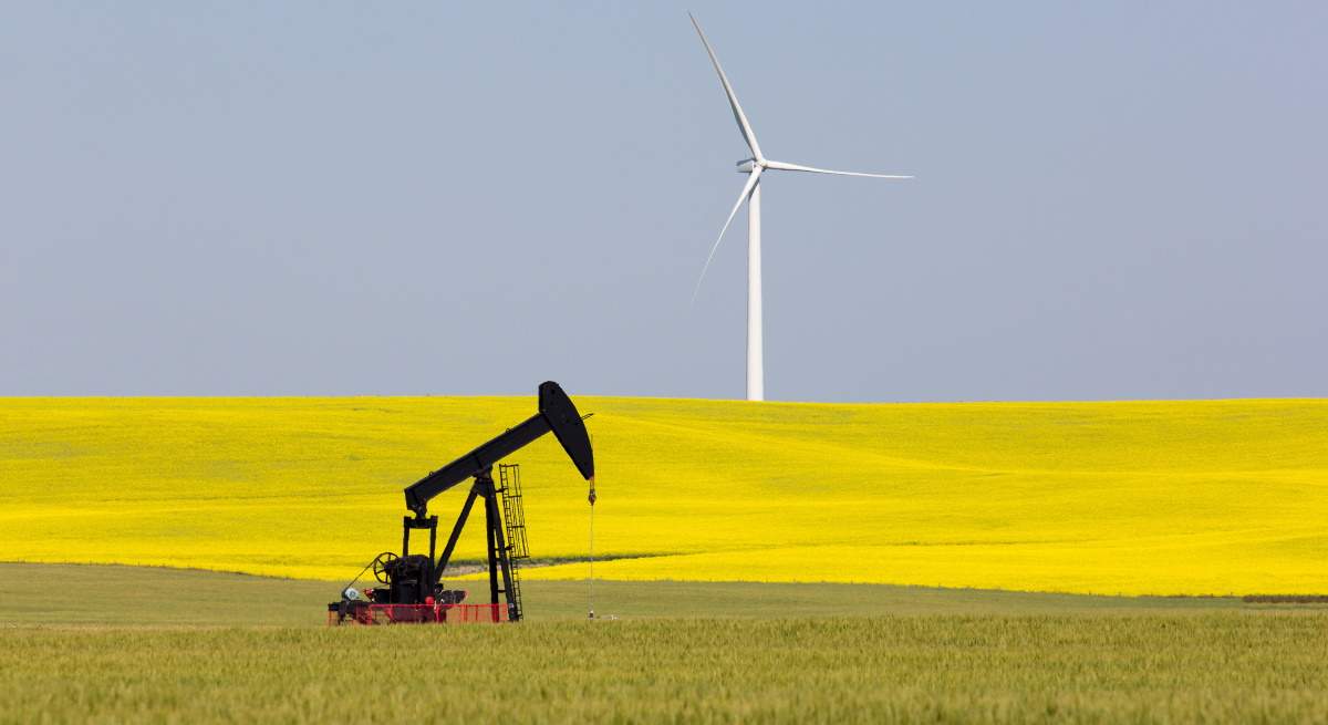 petroleo-colza-eeuu.jpg