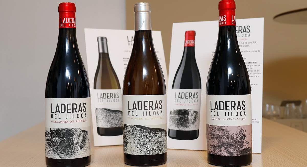daroca bodega