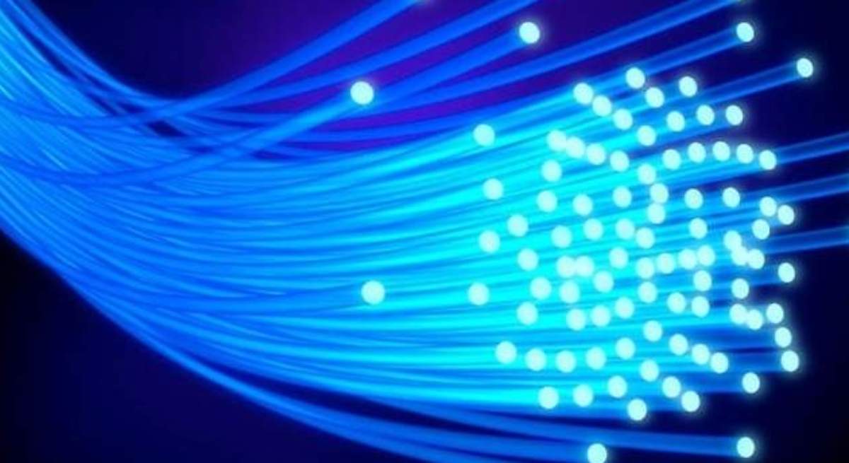 fibra-1.jpg