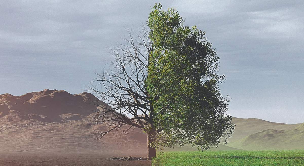 cambio-climatico.jpg