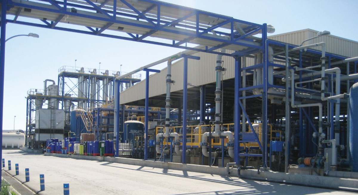 lantaniaCLC.jpg