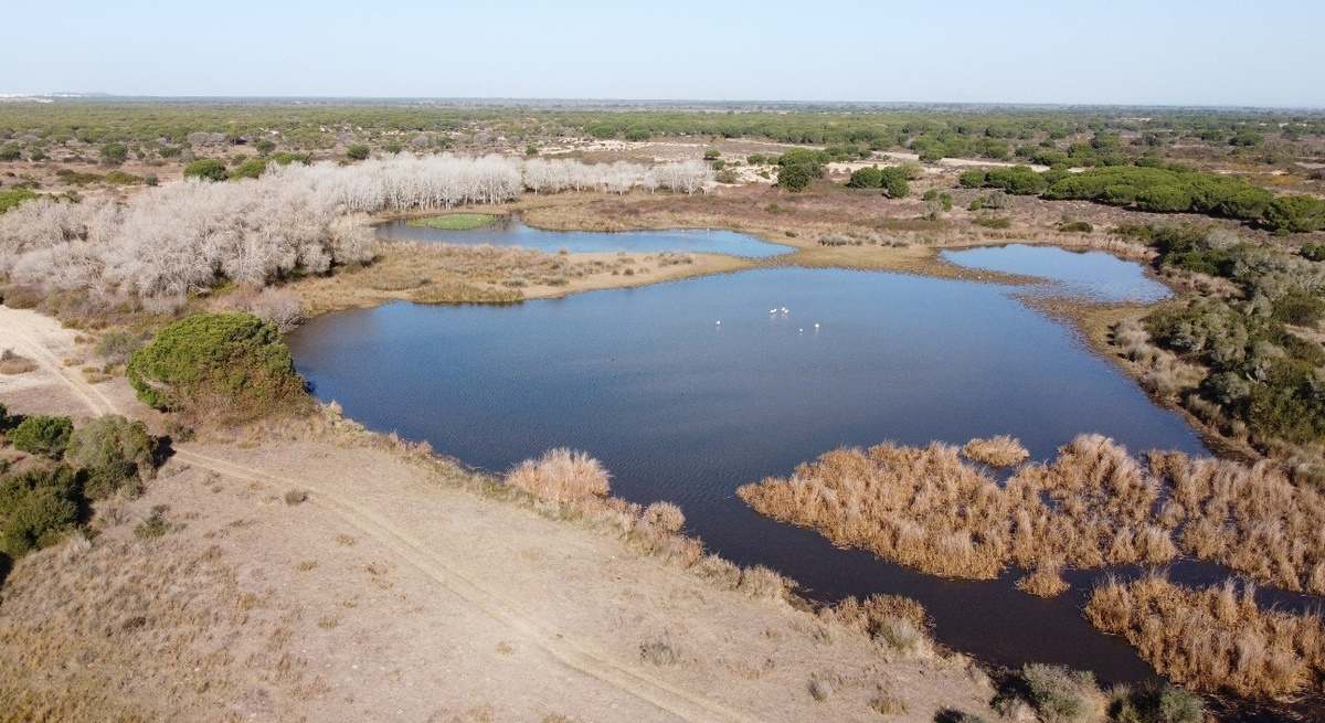 laguna_sopeton-donana-ep-1200x655.jpg