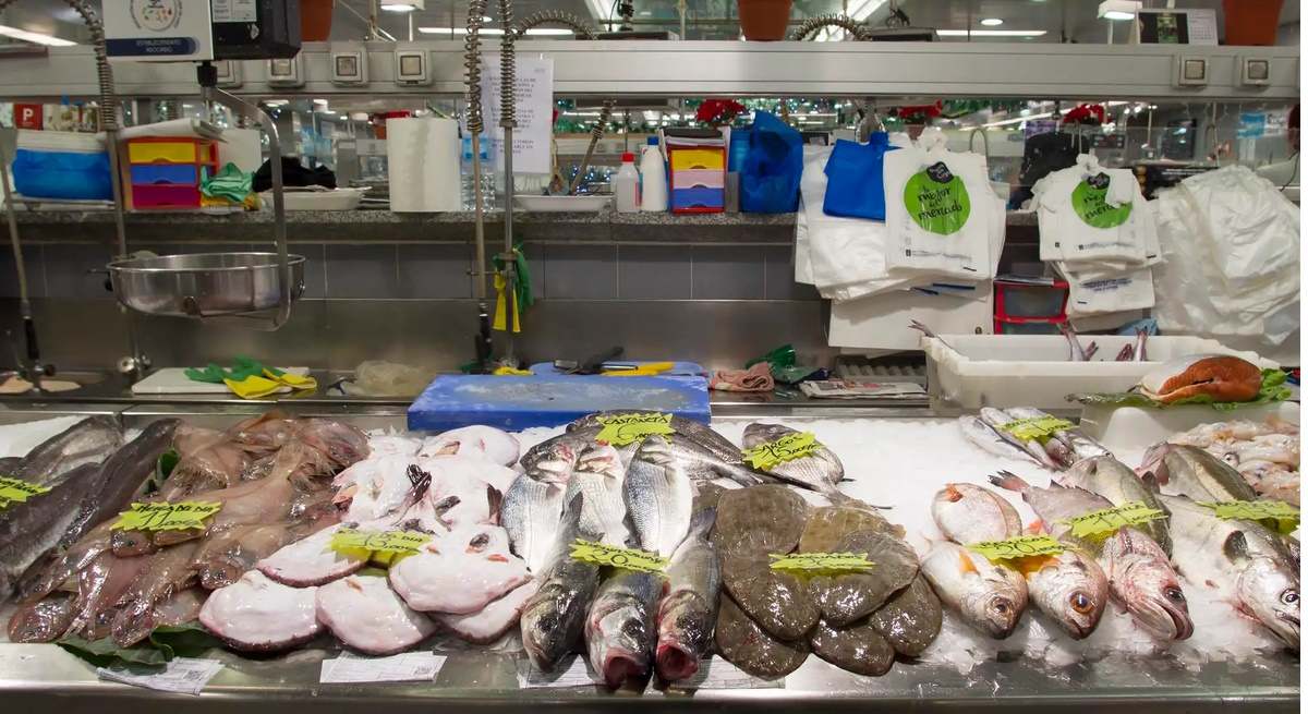 PEIXE WEB