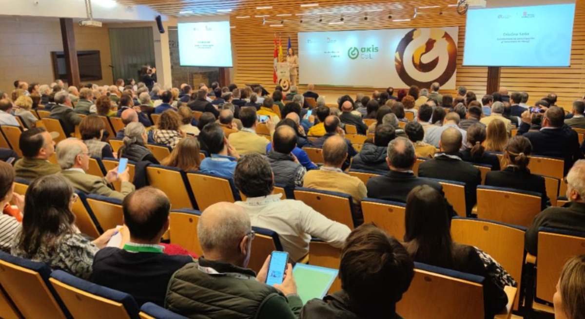 La subdirectora de Investigación y Tecnología del Itacyl, Cristina León, ha sido la encargada de presentar los AKIS CyL