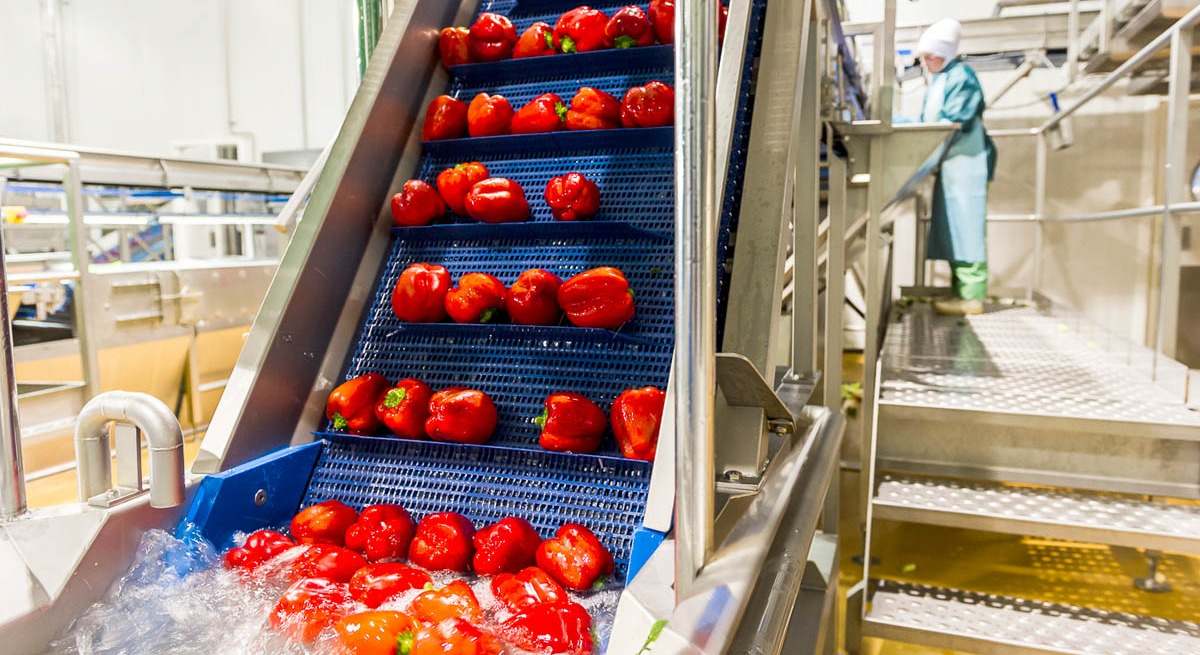 Línea de producción de una industria agroalimentaria.