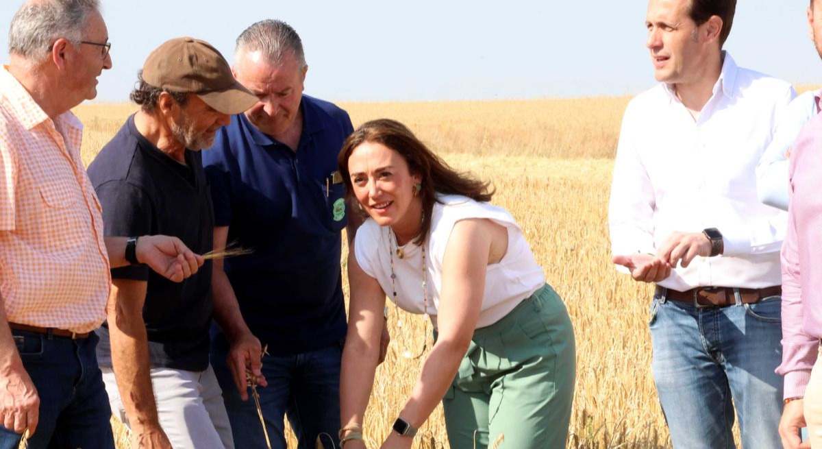 La consejera de Agricultura de Castilla y León avanza los datos de la cosecha de 2025