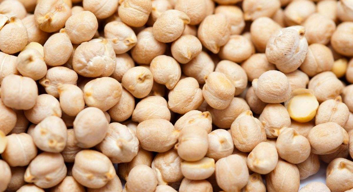 Los garbanzos se han puesto de moda durante el periodo veraniego