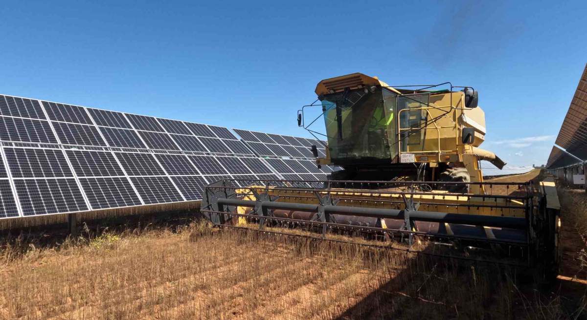 lino-solar.jpg