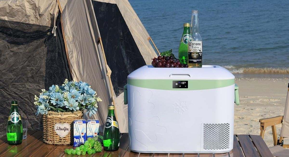 Nevera portátil eléctrica BINGI