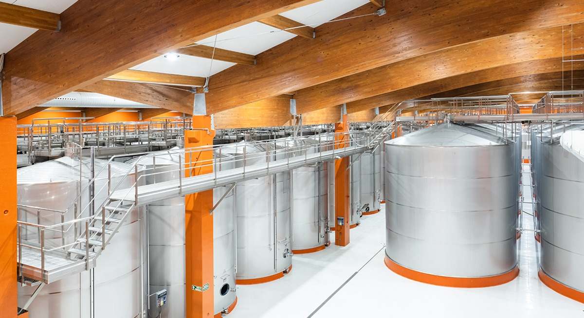 bodegas borsao